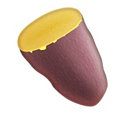 Os emojis que toda fitgirl deve adotar