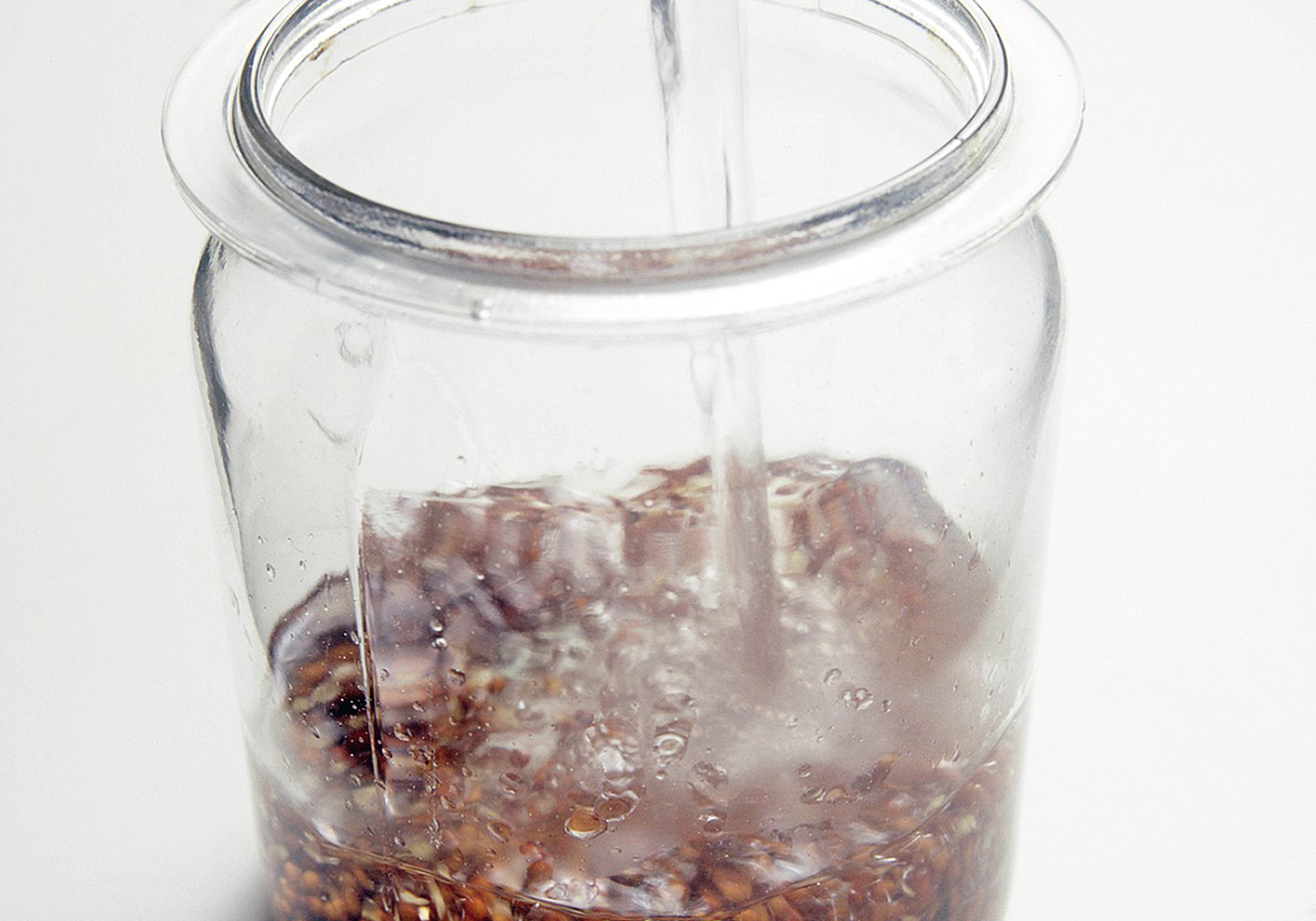 Germina&ccedil;&atilde;o de sementes e gr&atilde;os: aprenda a fazer em casa