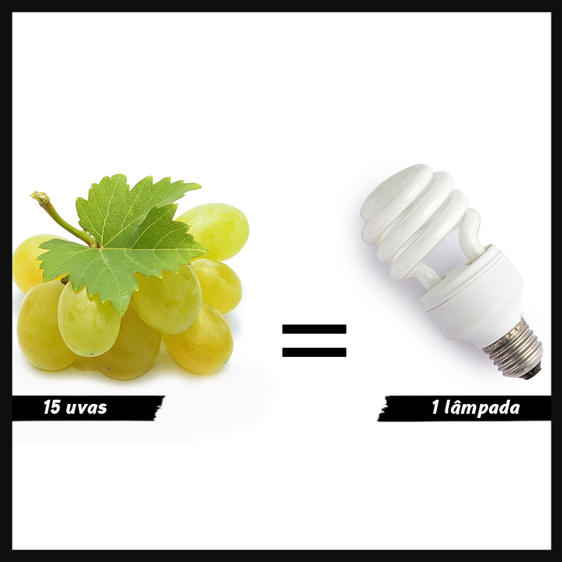 A quantidade certa de cada alimento para n&atilde;o escorregar na dieta