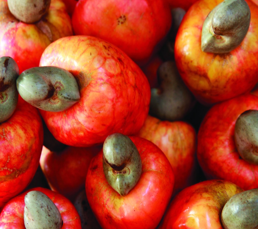 img15 As dietas e os alimentos que são tendência em 2017