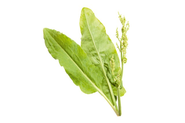 A nova dieta detox baseada em plantas comestíveis – as pancs!