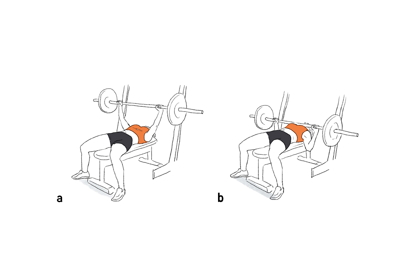 Treino de muscula&ccedil;&atilde;o de Claudia Leitte para fazer na academia