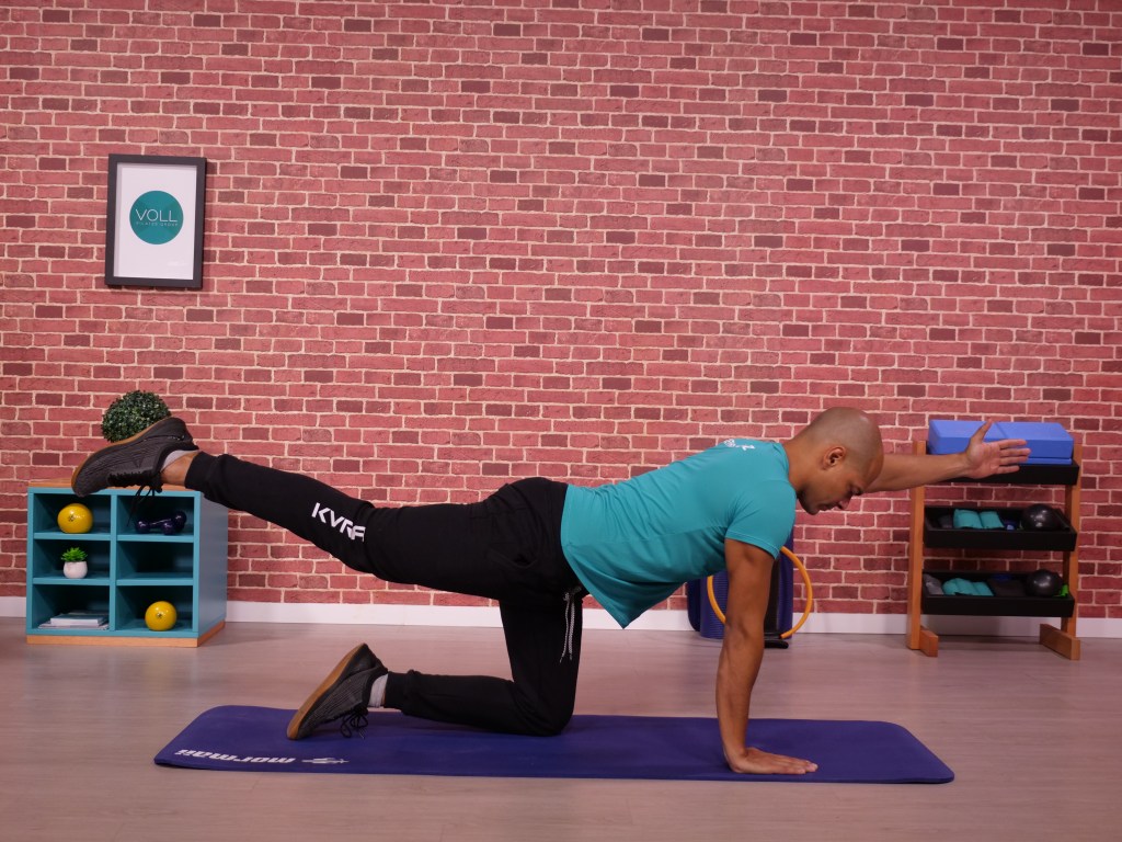 perdigueiro – final 2 Pra ficar bem hoje: treino simples para acabar com a dor na lombar