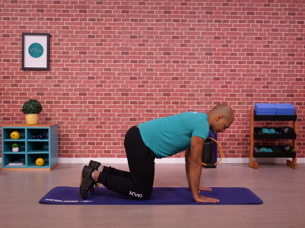 perdigueiro – inicio Pra ficar bem hoje: treino simples para acabar com a dor na lombar