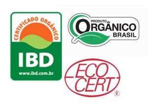 Dia de proteção às florestas: conheça 15 produtos de beleza sustentáveis