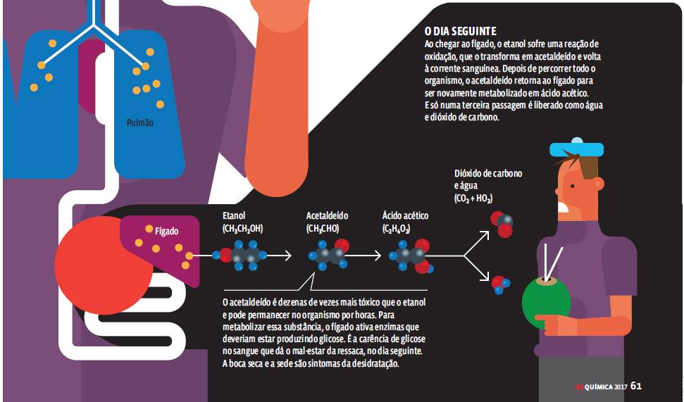 Cálculos químicos – Infográfico: Como funciona o bafômetro