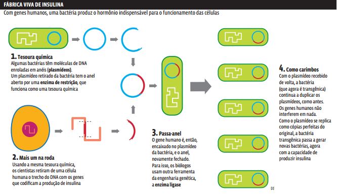 g6 Genética: Biotecnologia