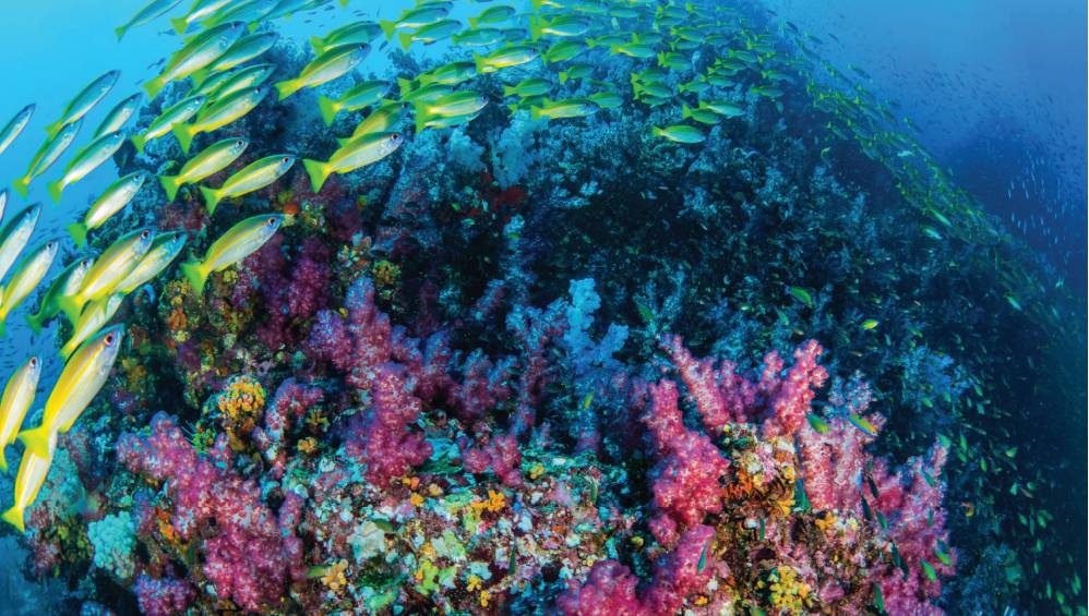 Screenshot_60 Equilíbrio químico: Equilíbrio iônico