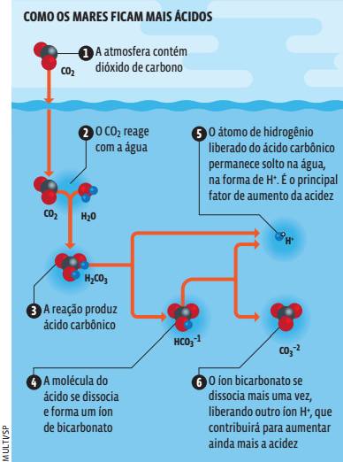 Screenshot_62 Equilíbrio químico: Equilíbrio iônico