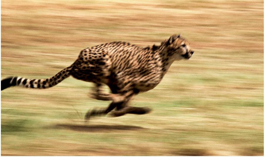 Cinemática: MRUV (Movimento Retilíneo Uniformemente Variado)