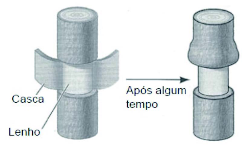 GEBIOLOGIAISBN-5-102-2