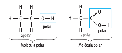 molecula_polar