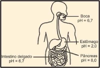 Screenshot_47 Química: Simulado (Perguntas)