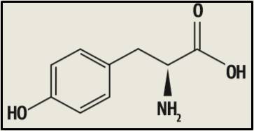Screenshot_84 Compostos Orgânicos: Como cai na prova
