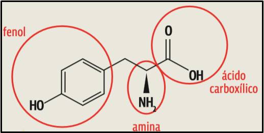 Screenshot_93 Compostos Orgânicos: Como cai na prova