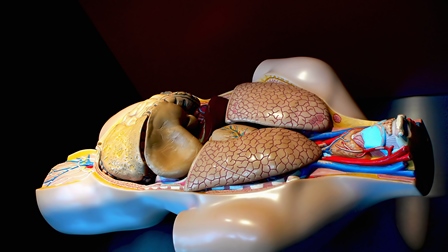 Mestrado em Etnobiologia da UFPB é reconhecido pela CAPES