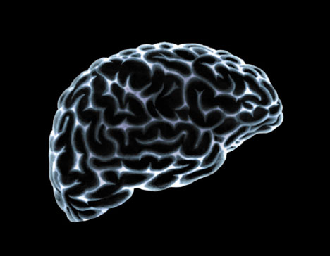 Que curso devo fazer para chegar à Neurociência?