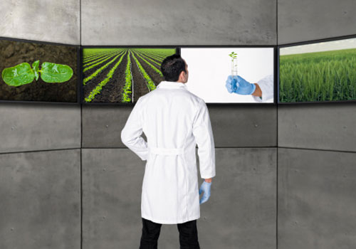 Será que o curso de Agronomia é uma boa opção para mim?