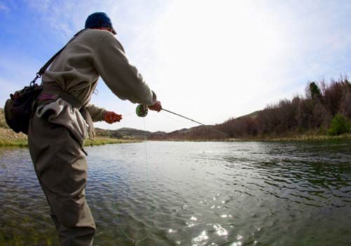Engenharia da Pesca é o curso ideal para mim?