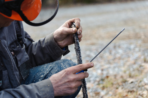 O que &eacute; o e como &eacute; o curso de Silvicultura?