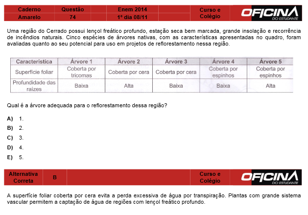 Enem 2014: correção da questão 74