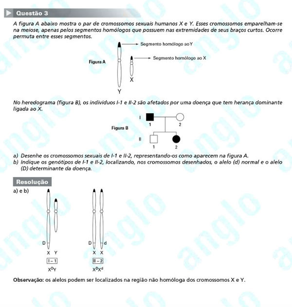 Fuvest 2012: Questão 3 (segunda fase) – conhecimentos específicos – prova de biologia
