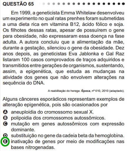 Como estudar Biologia para o Enem?