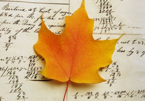 Existe algum curso na &aacute;rea ambiental que n&atilde;o use muito Exatas?