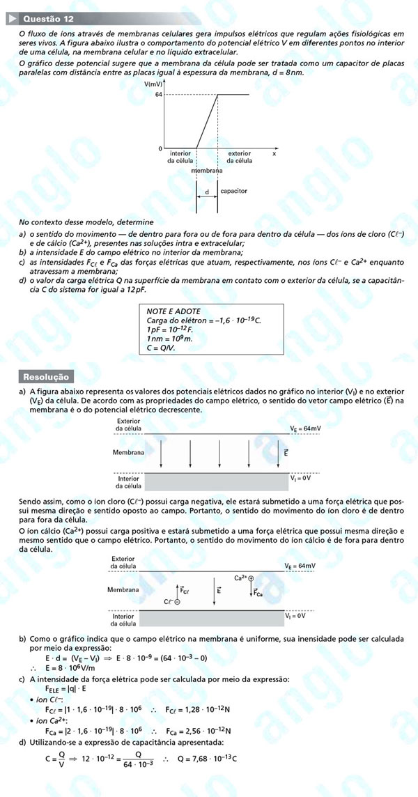 Fuvest 2012: Questão 12 (segunda fase) – conhecimentos gerais