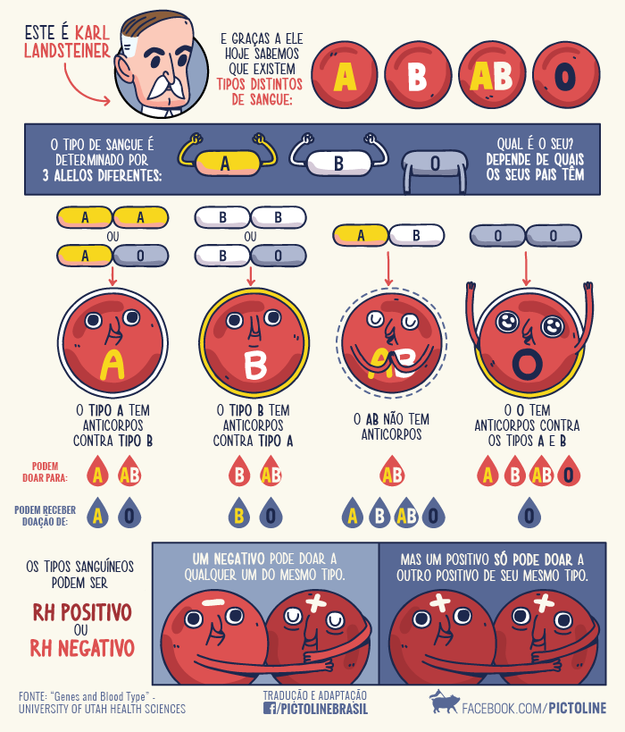 5 motivos para acompanhar a página Pictoline