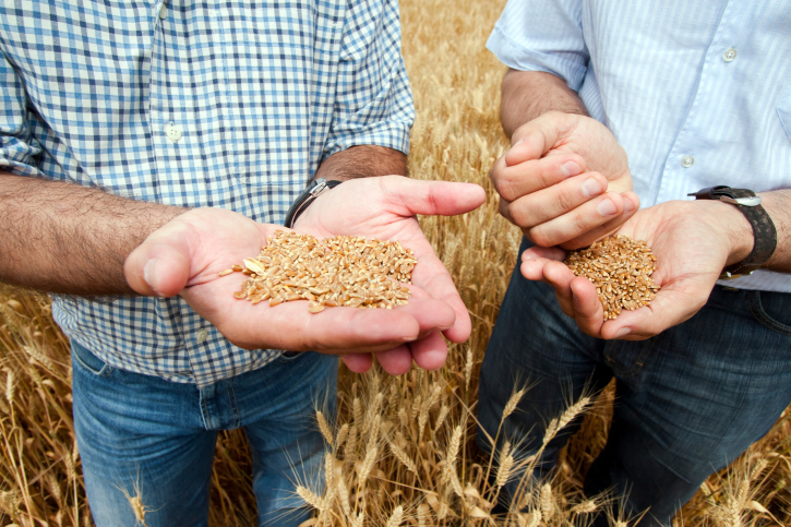 Saiba mais sobre o curso de Agronomia da UFV