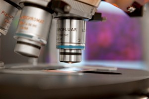 Seis dicas para memorizar conteúdos de Biologia