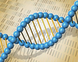 Os melhores cursos de Biomedicina