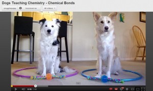 Estude Química com “professores cães”