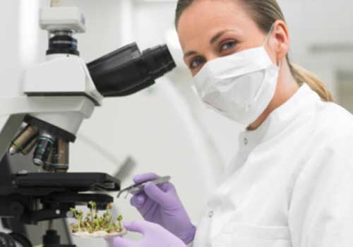 Os 20 melhores cursos de Ciências Biológicas do Brasil