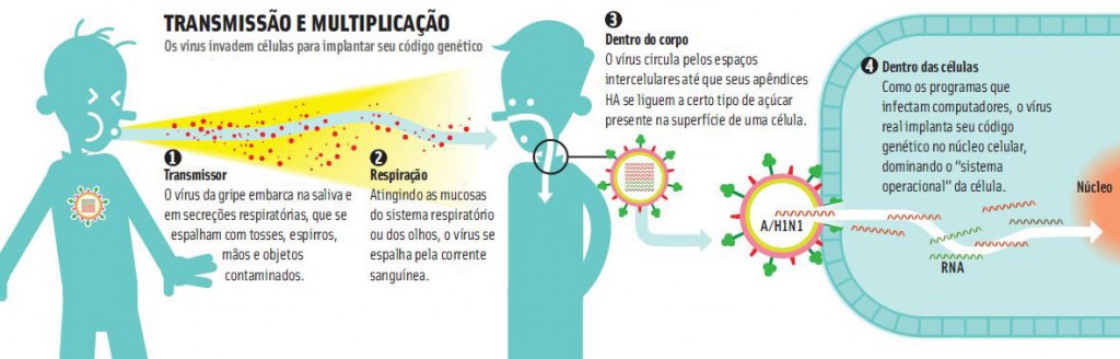 A gripe aviária já matou mais de 25 pessoas; conheça as pandemias que já assolaram o mundo e entenda como os vírus se espalham