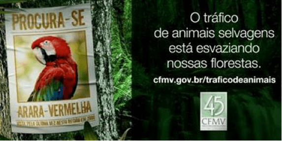 Nova proposta de redação: Comércio ilegal de animais silvestres