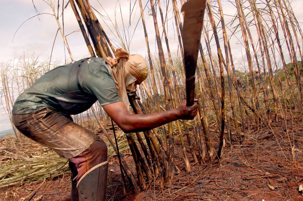 O poder da bancada ruralista no Congresso