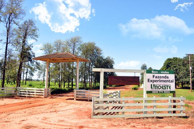 USP, UCDB e Unoeste ganham em Ciências Biológicas e da Terra