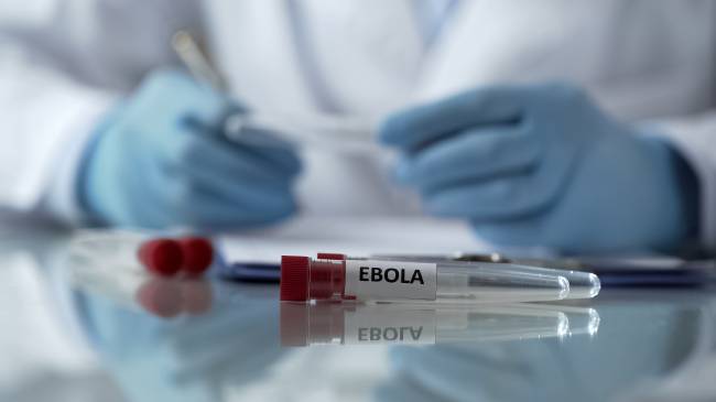 ebola Donald Trump divulga carta de Kim Jong-un; veja notícias