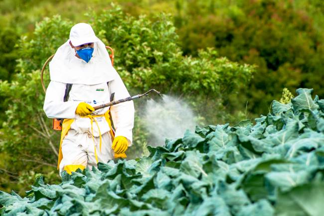agrotóxico Entenda o que são os agrotóxicos e quais riscos representam