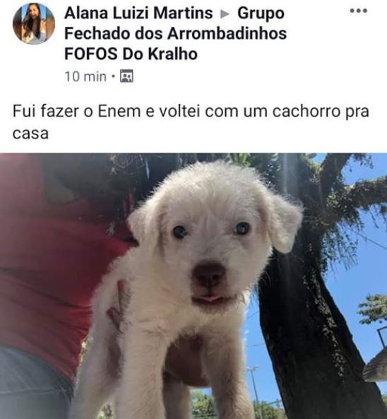 dogenem As histórias mais malucas do primeiro dia do Enem 2019