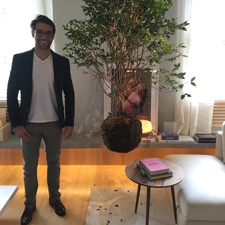 Do rural para o décor: O uso de jabuticabeiras na decoração