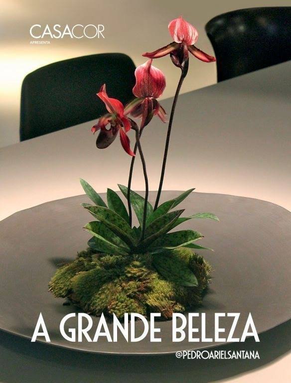 Pedro Ariel lança seu primeiro Photobook “A Grande Beleza”