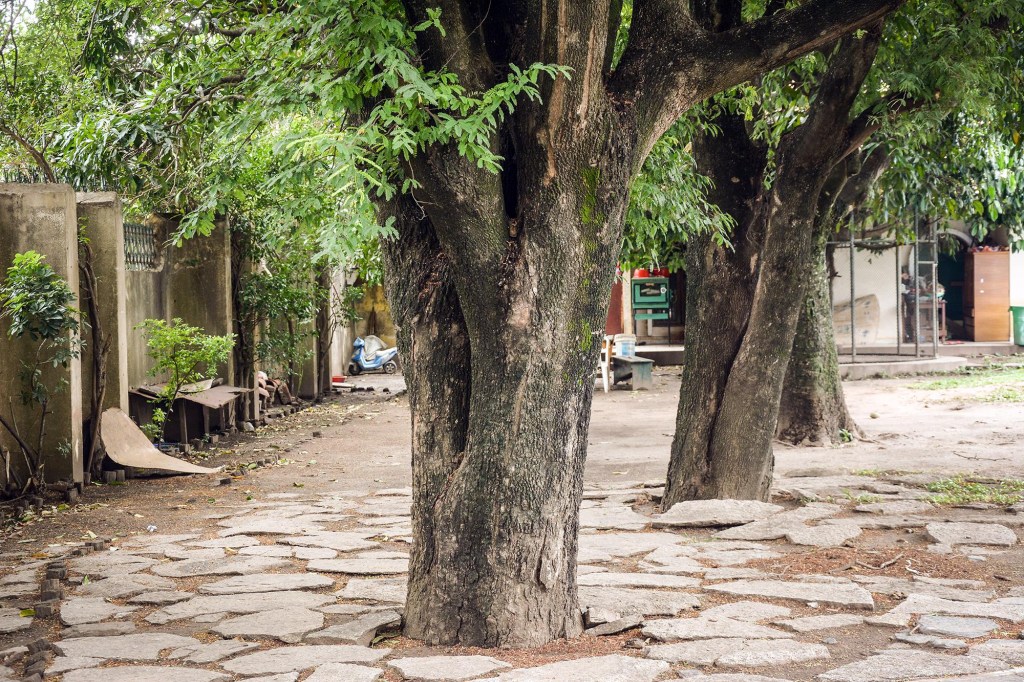 Quinta urbana, a sede histórica que receberá a CASACOR Bolívia