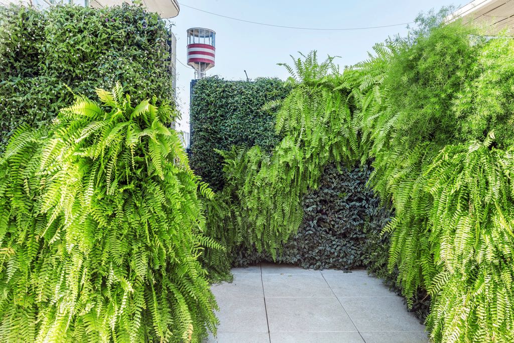 CASACOR SP: Jardim com horta, espécies tropicais e aconchego