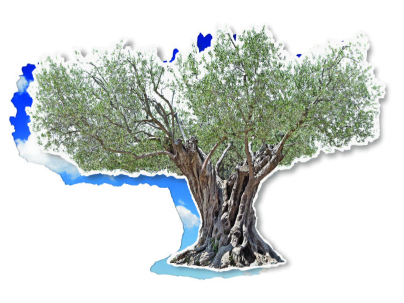 <span>–</span>