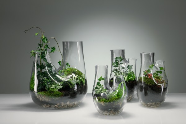 PLANT: aprenda a construir seu próprio terrário com Tom Dixon