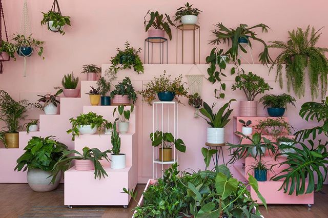 Natureza na cidade: veja como trazer o verde para casa!