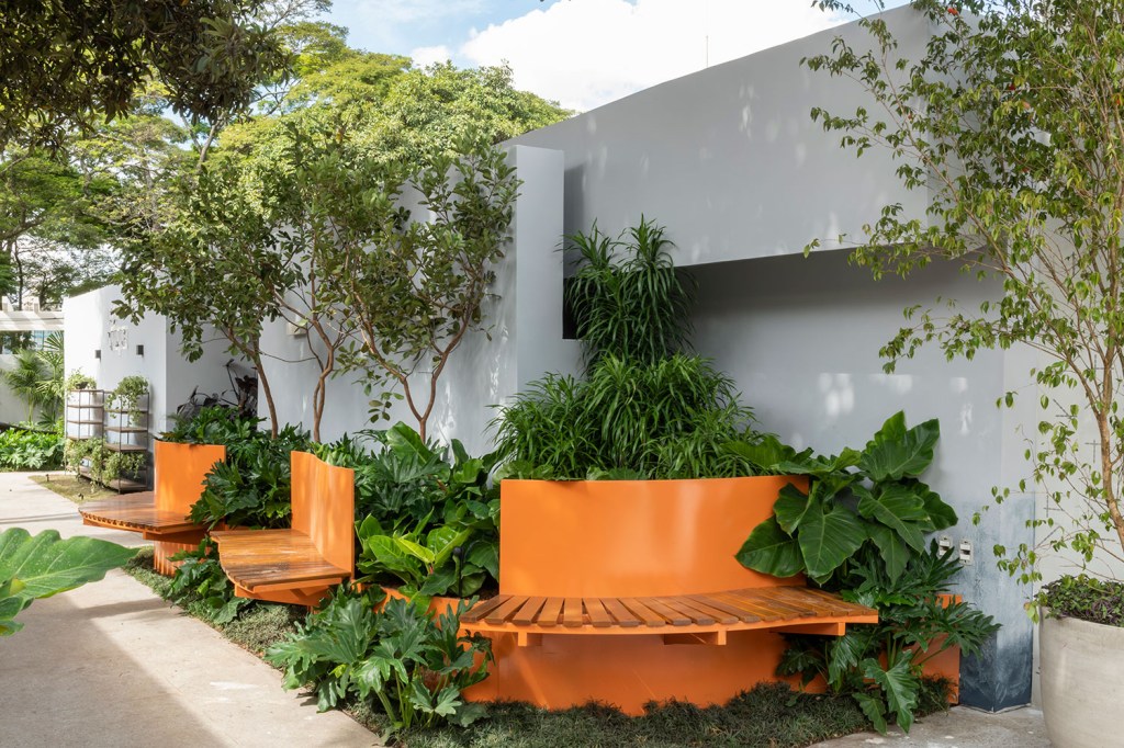 3-clarica-lima-ccsp2018.jpg Clariça Lima cria um jardim para conviver e interagir na CASACOR SP 2018